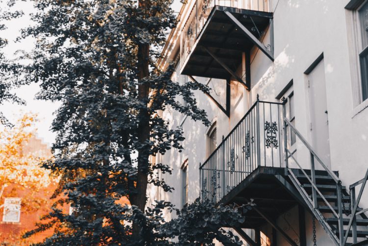 Abbattimento degli alberi condominiali: quale maggioranza?